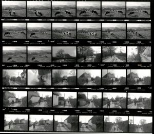 Contact Sheet 1885 by James Ravilious