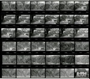 Contact Sheet 1902 by James Ravilious