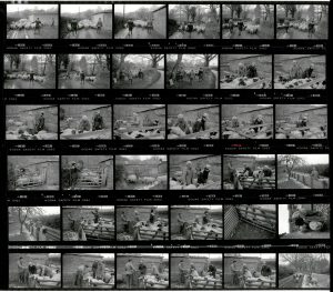 Contact Sheet 1903 by James Ravilious