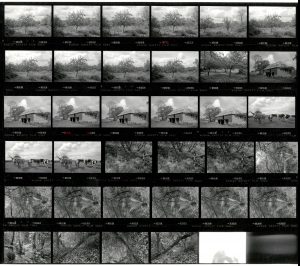 Contact Sheet 1917 by James Ravilious