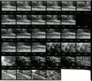 Contact Sheet 1924 by James Ravilious