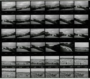 Contact Sheet 1948 Part 2 by James Ravilious