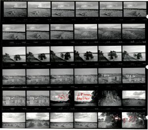 Contact Sheet 1951 by James Ravilious