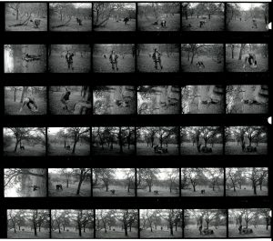 Contact Sheet 1969 by James Ravilious