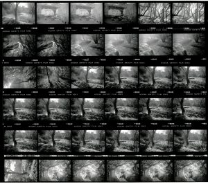 Contact Sheet 1975 by James Ravilious