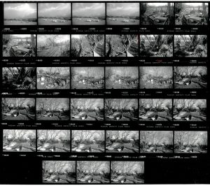 Contact Sheet 1977 by James Ravilious