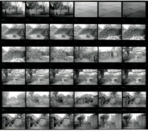 Contact Sheet 1979 by James Ravilious