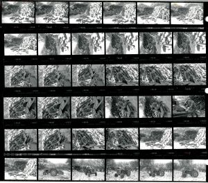 Contact Sheet 1984 by James Ravilious