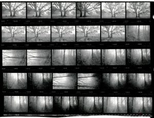 Contact Sheet 1986 by James Ravilious