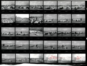 Contact Sheet 1987 by James Ravilious