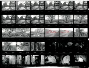 Contact Sheet 1989 by James Ravilious