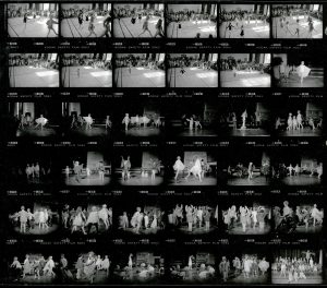 Contact Sheet 1995 by James Ravilious