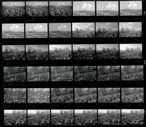 Contact Sheet 1996 by James Ravilious