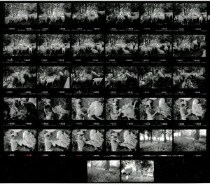 Contact Sheet 2000 by James Ravilious
