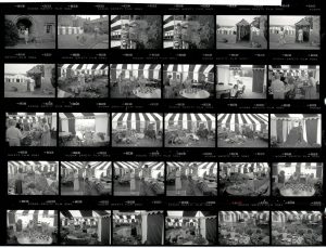 Contact Sheet 2002 by James Ravilious