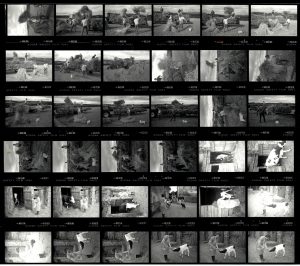 Contact Sheet 2019 by James Ravilious