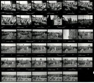 Contact Sheet 2021 by James Ravilious