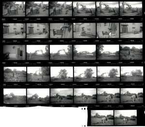 Contact Sheet 2035 by James Ravilious