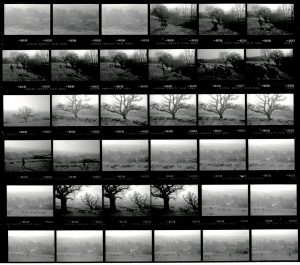 Contact Sheet 2046 by James Ravilious