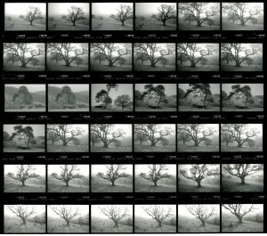 Contact Sheet 2047 by James Ravilious
