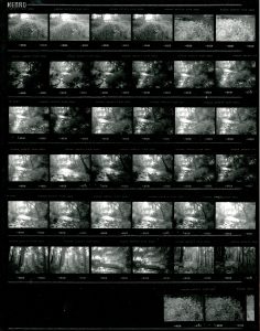 Contact Sheet 2088 by James Ravilious