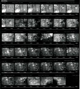 Contact Sheet 2093 by James Ravilious