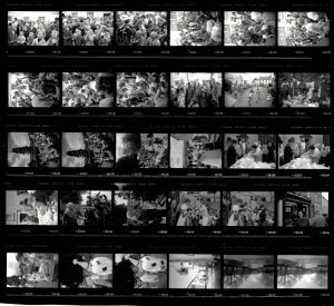 Contact Sheet 2103 by James Ravilious
