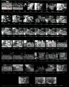 Contact Sheet 2106 by James Ravilious
