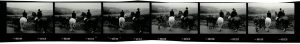 Contact Sheet 2136 Part 2 by James Ravilious