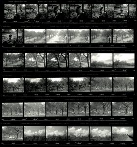 Contact Sheet 2140 by James Ravilious