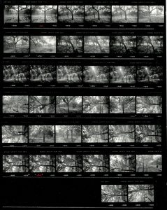 Contact Sheet 2141 by James Ravilious