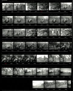 Contact Sheet 2143 by James Ravilious