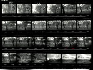 Contact Sheet 2144 by James Ravilious