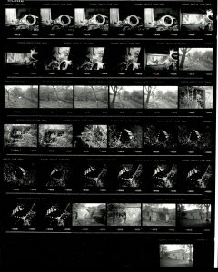 Contact Sheet 2150 by James Ravilious