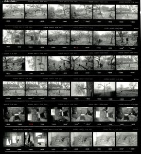 Contact Sheet 2173 by James Ravilious