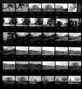 Contact Sheet 2203 by James Ravilious