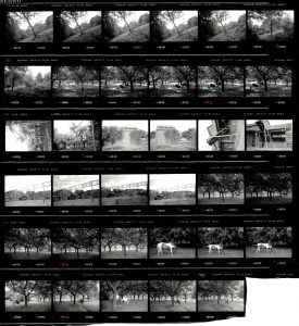 Contact Sheet 2209 by James Ravilious