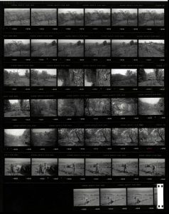Contact Sheet 2256 by James Ravilious