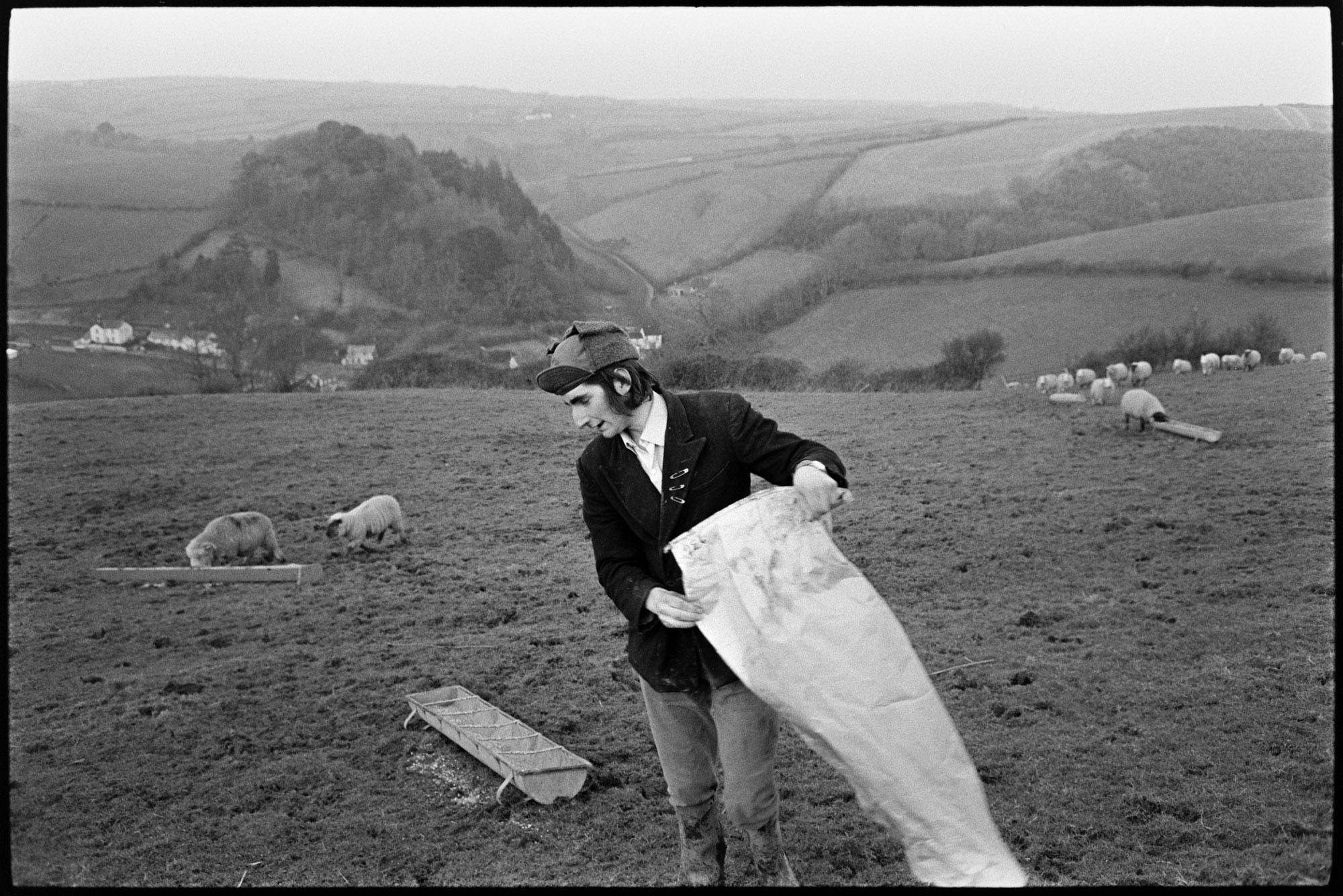 Geoff Vaisey feeding sheep by James Ravilious