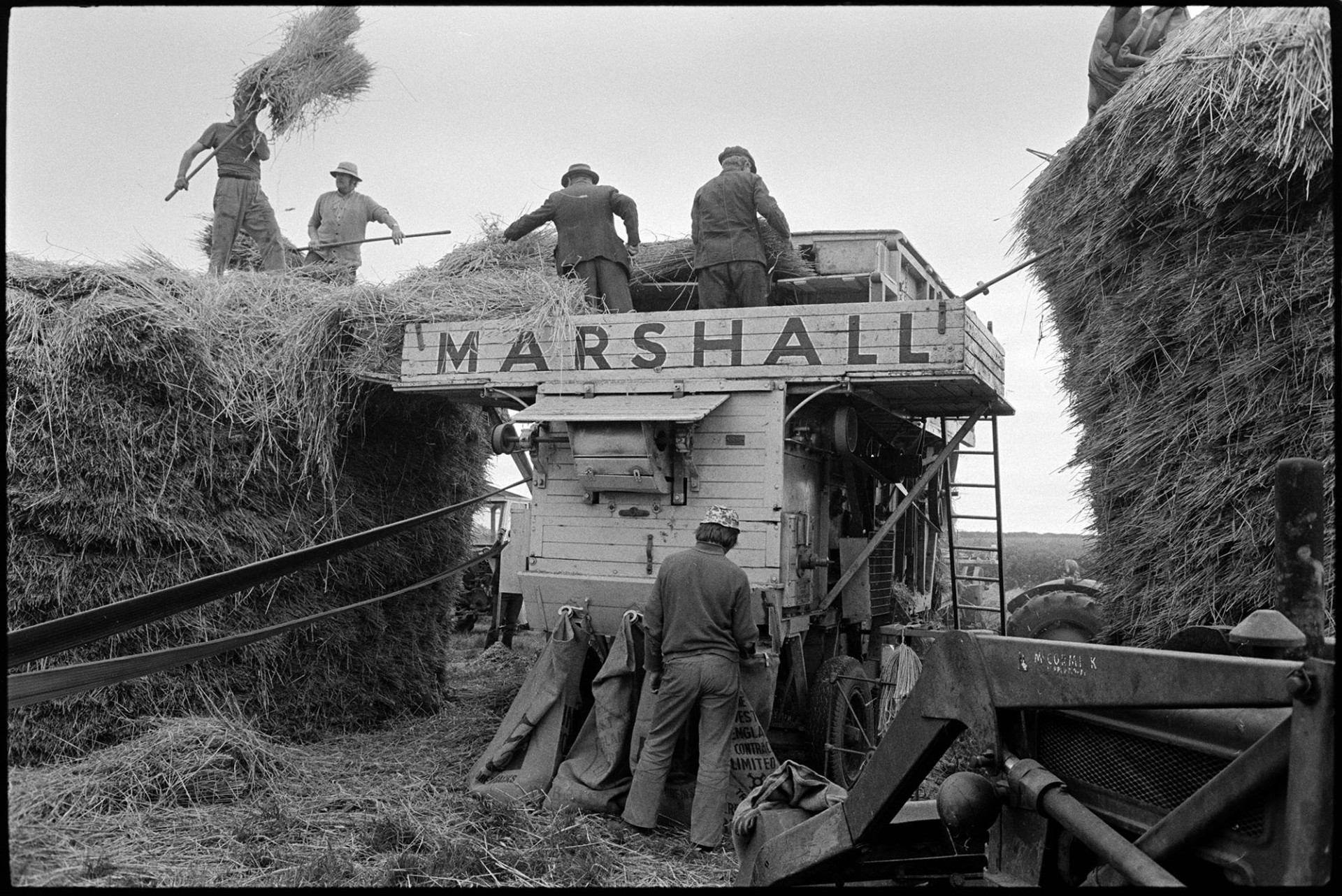 Reed combing, men working, ricks, tractors, etc. <br />
[Mr Middleton and a group of men dismantling a wheat rick and combing the reed using a reed comber. Two men are stood on top of the rick and are lifting the reed onto the comber with pitchforks. Two other men are feeding the reed into the comber. Sacks at the back of the comber are collecting the grain from the reed.]