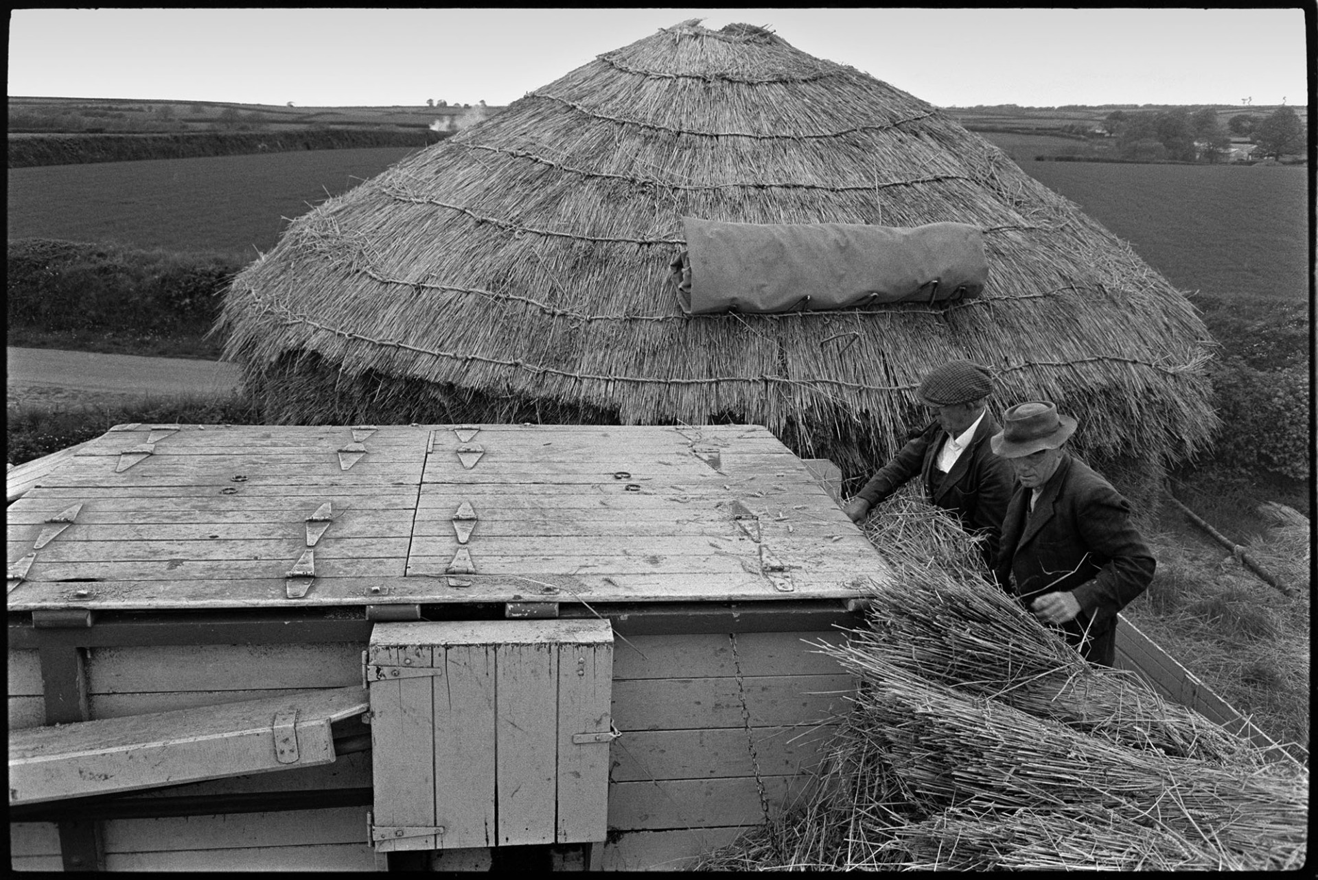 Reed combing, men working, ricks, tractors, etc. <br />
[Two men feeding bundles of reed into a reed comber. The top of the reed comber can be seen and a thatched wheat rick is in the background.]