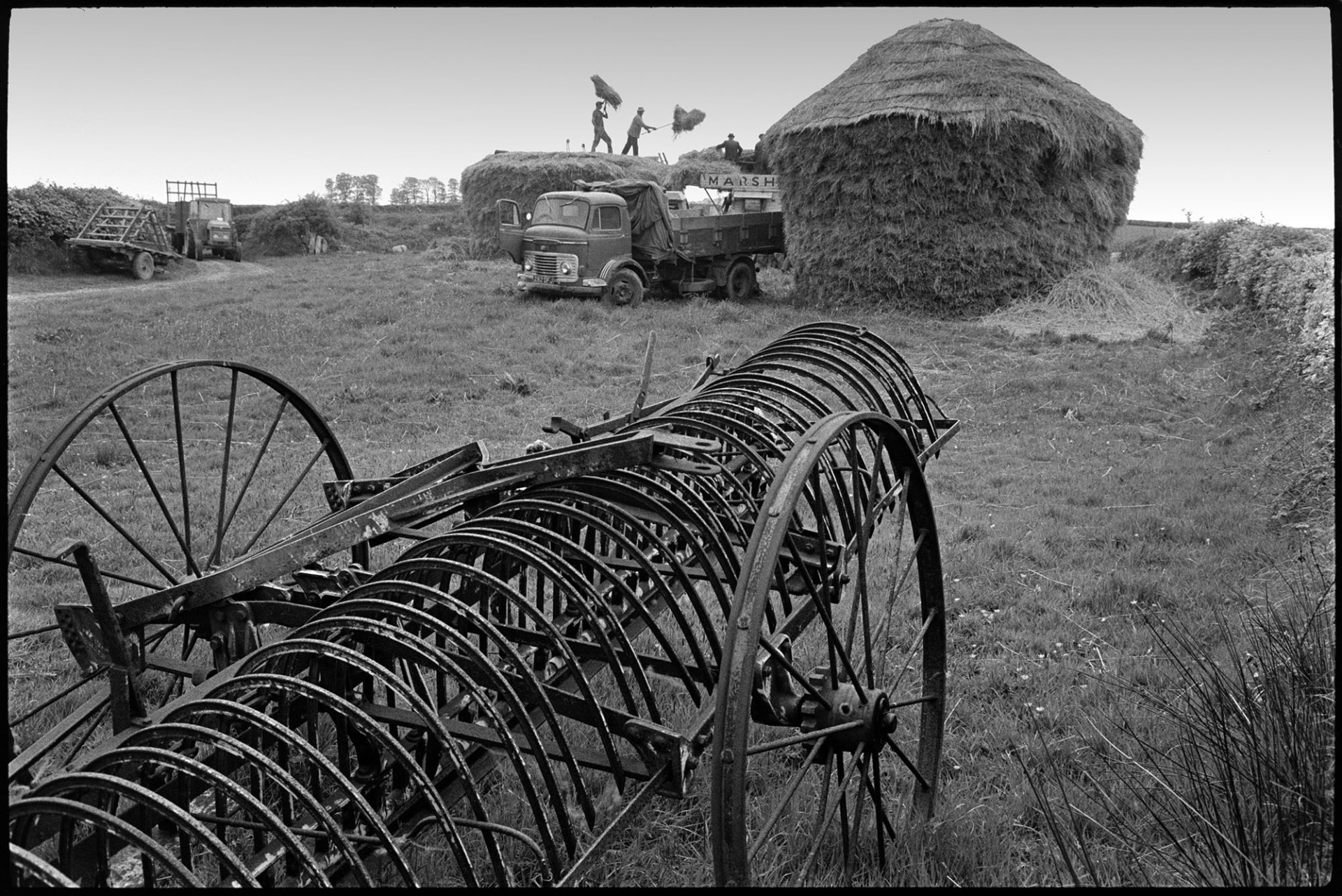 Reed combing, men working, ricks, tractors, etc. <br />
[Men dismantling wheat ricks and combing the reed using a reed comber. Two men are stood on top of a rick moving bundles of reed with pitchforks onto the comber. A thatched wheat rick is the other side of the reed comber. A piece of old farm machinery is in the foreground and a tractor and trailer can be seen in the background.]