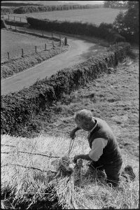 Untitled by James Ravilious
