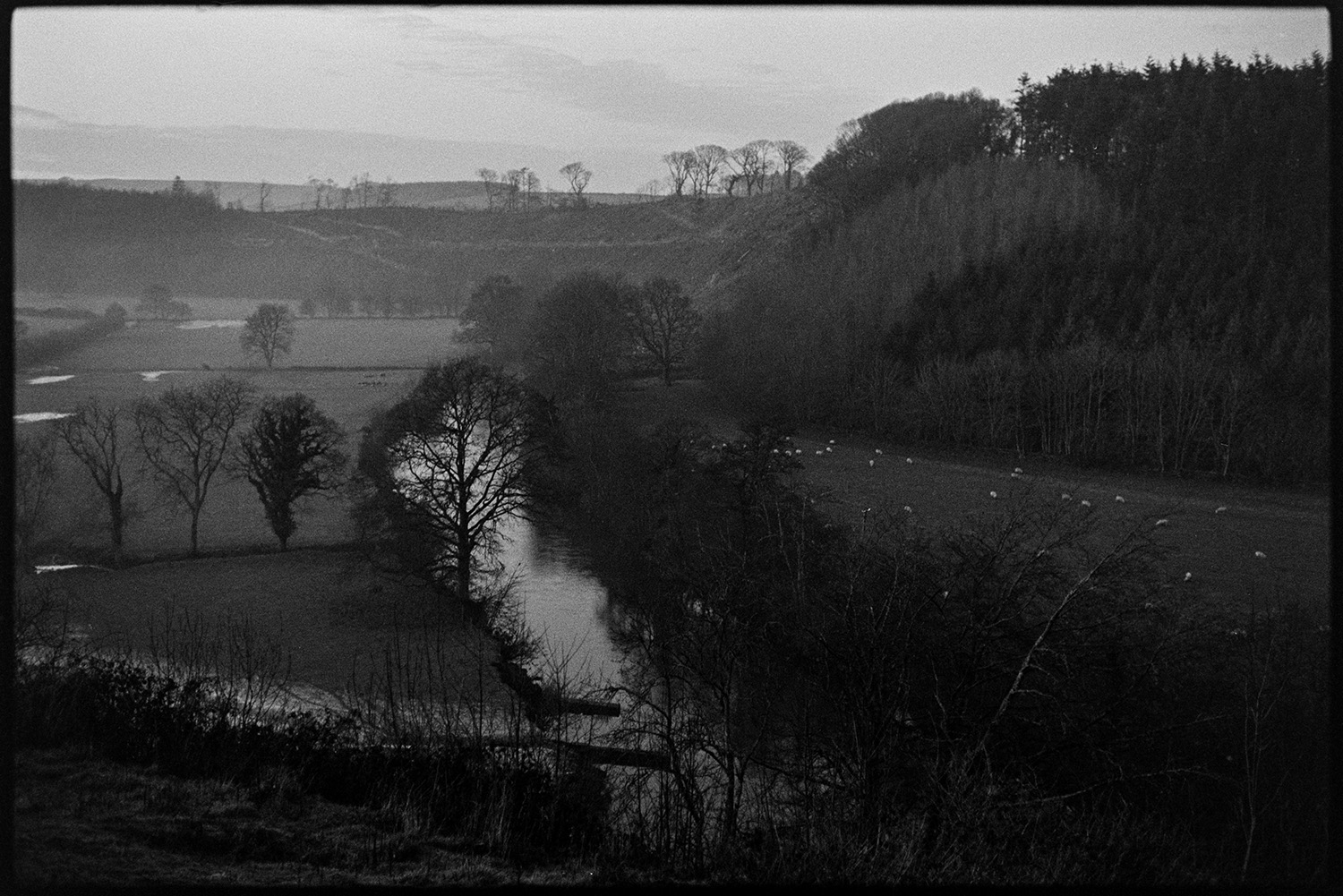 Landscape with river.
[A view from Brightley, Dolton showing the River Torridge, partially flooded fields, sheep grazing in a field and the surrounding countryside.]