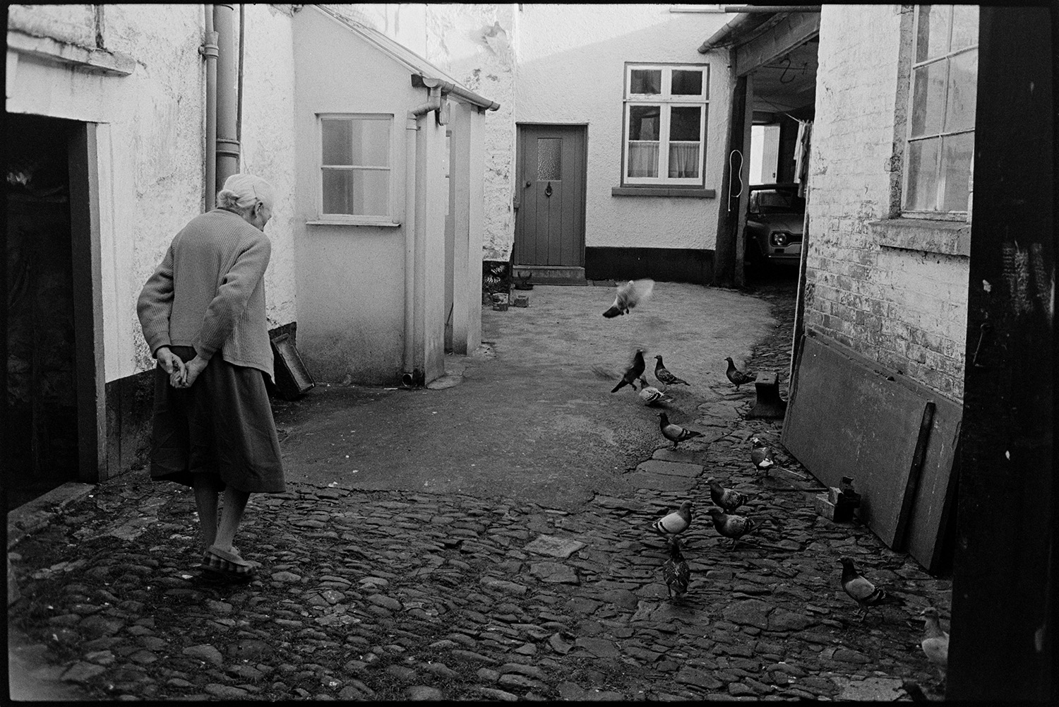 Doves, pigeons in courtyard.<br />
[Elderly lady walking in a cobbled courtyard at the rear entrance to a house in Hatherleigh, with doves and pigeons on the ground. ]