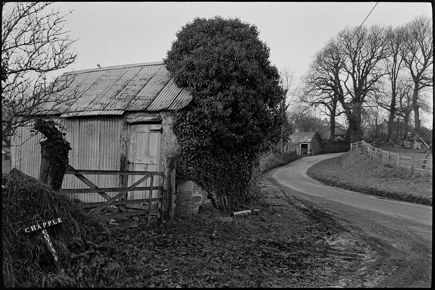 Old cob barn with corrugated iron, now demolished.
[Old cob barn with corrugated iron walls and roof, and a wooden door, at Lower Langham, Dolton. The barn is behind a wooden field gate and a sign for Chapple Cottage. Other buildings and trees are visible in the background further along the road. The barn has now been demolished.]