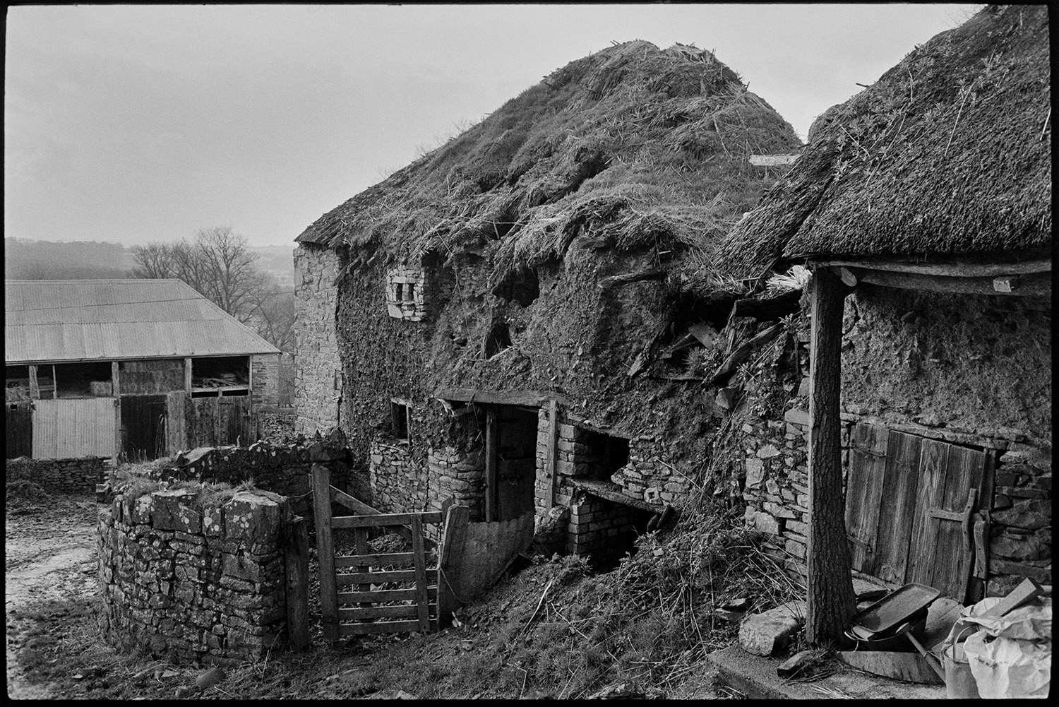 Ruined cob and thatch barn.
[Ruined cob and stone barn with a collapsing thatch roof in the farmyard at Bridgetown, Iddesleigh. Another barn with a corrugated iron roof and hay bales can be seen in the background.]