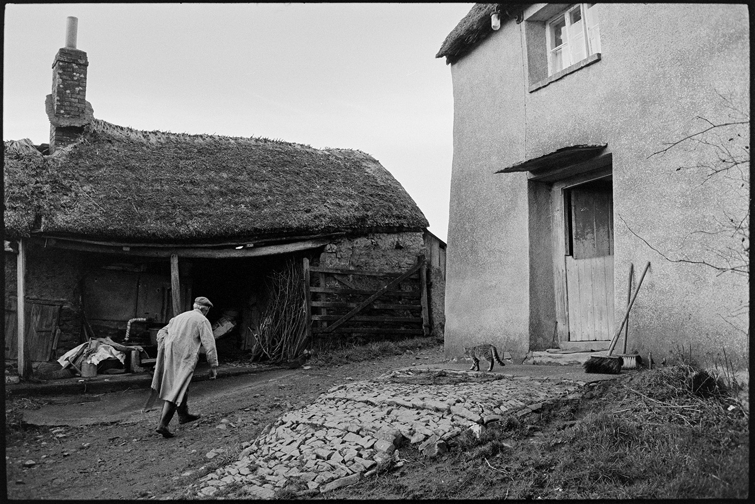 Farmhouse door, cobbled path and thatched barn, cat and farmer. <br />
[Reg Chamings walking through the farmyard at Bridgetown Farm near Iddesleigh. He is walking past a thatched barn and the farmhouse. A cat is walking along cobbles outside the farmhouse, past two brooms propped against the wall.]
