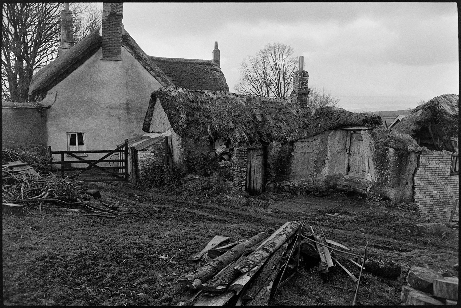 Farmyard with ancient ruined barns, cob and thatch. 
[Bridgetown farmyard with a collapsing thatched barn. A log pile is visible in the foreground and the thatched farmhouse can be seen in the background.]