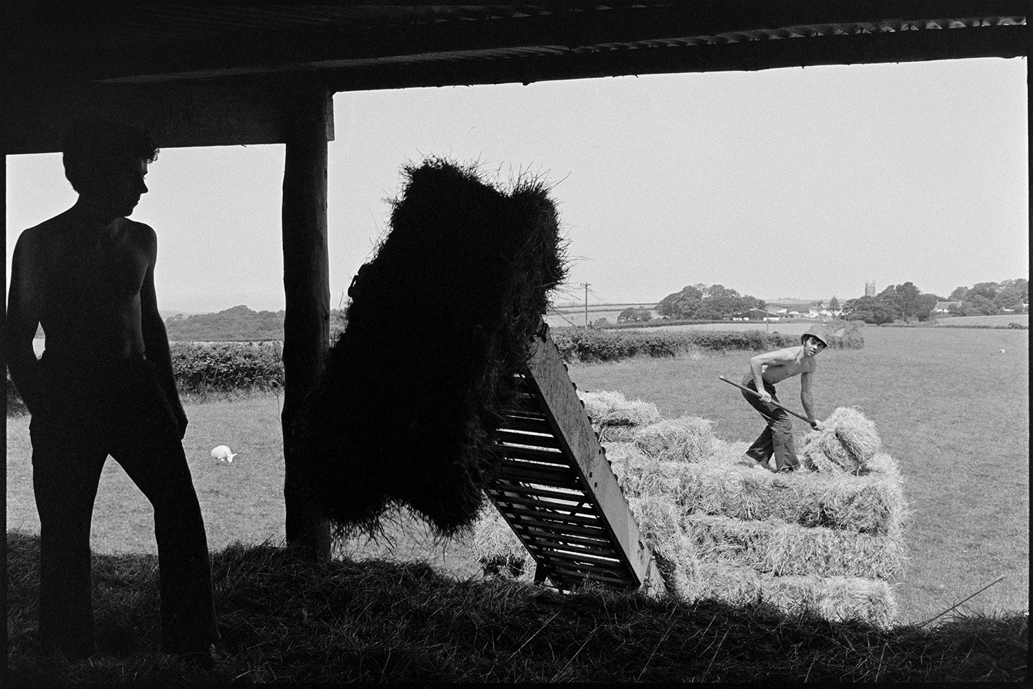 David Ward and Graham Ward loading hay bales into a barn using an elevator at Parsonage, Iddesleigh. Fields, trees and a church tower can be seen in the background.